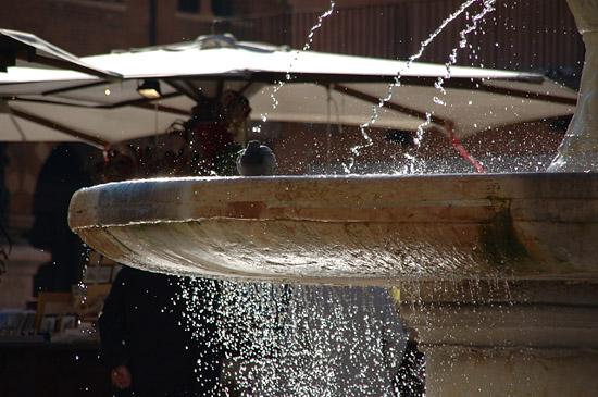 DSC_1941