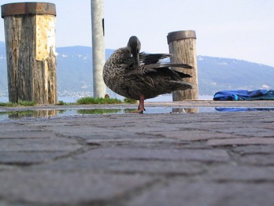 hier geht�s los