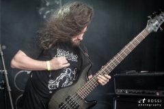 Absolvtion - Forest Fest 2019