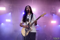 Alcest - Baden In Blut 2019