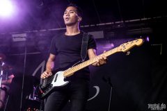 Alcest - Baden In Blut 2019