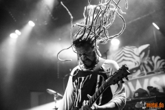 Bukowski - Le Grillen