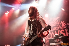 Bukowski - Le Grillen