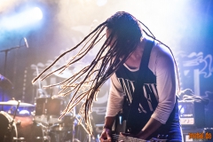 Bukowski - Le Grillen