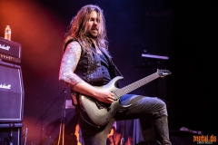 Crystal Viper - Le Grillen