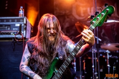 Crystal Viper - Le Grillen