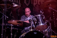 Crystal Viper - Le Grillen