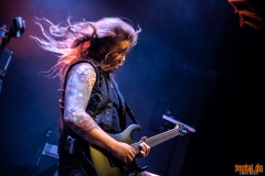 Crystal Viper - Le Grillen