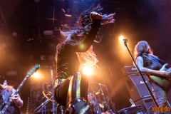 Crystal Viper - Le Grillen