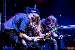 Crystal Viper - Le Grillen