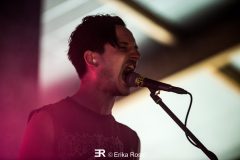 Der Weg Einer Freiheit - Ragnarök