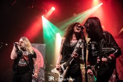 Devil's Gun - Le Grillen