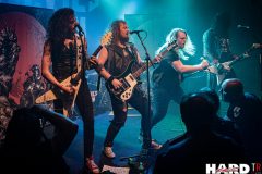 Devil's Gun - Le Grillen