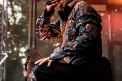 Die Apokalyptischen Reiter - Baden In Blut