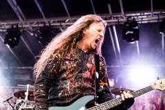 Die Apokalyptischen Reiter - Baden In Blut