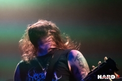 Downfall Of Gaia - Le Grillen