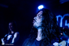 Dust Bolt, Freakout Festival