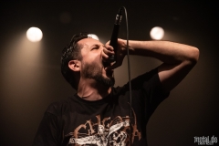 Haut&Court. - Le Grillen