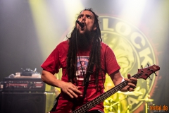 Hemlock - Le Grillen