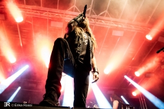 Iced Earth - Baden In Blut
