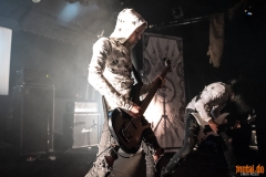 Lifestream - Ladlo Fest