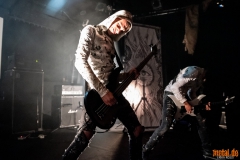 Lifestream - Ladlo Fest