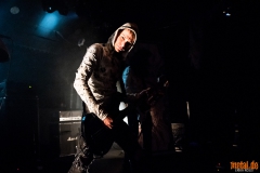 Lifestream - Ladlo Fest