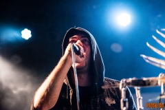 Lifestream - Ladlo Fest