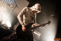 Lifestream - Ladlo Fest