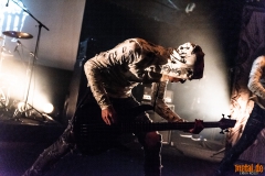 Lifestream - Ladlo Fest