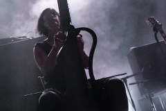 Machinalis Tarantulae - Noumatrouff