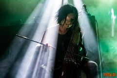 Machinalis Tarantulae - Noumatrouff