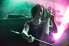 Machinalis Tarantulae - Noumatrouff