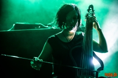 Machinalis Tarantulae - Noumatrouff