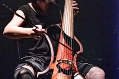 Machinalis Tarantulae - Noumatrouff