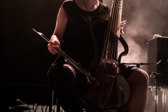 Machinalis Tarantulae - Noumatrouff