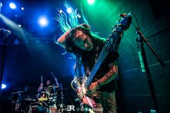 Maltdown - Le Grillen