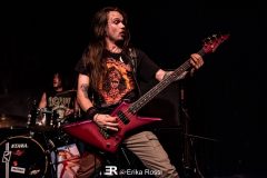 Maltdown - Le Grillen