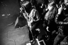 Midnight - Le Grillen