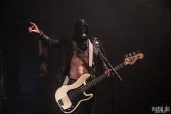 Midnight - Le Grillen