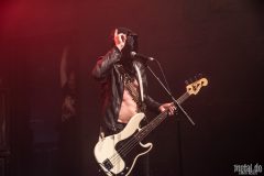 Midnight - Le Grillen