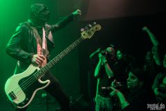 Midnight - Le Grillen