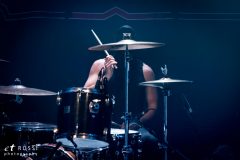 Midnight - Le Grillen