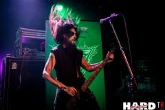 Atrexial,  Atelier des Môles