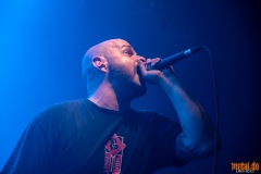 Six Grammes Eight - Le Grillen