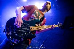 Smashing Train - Le Grillen