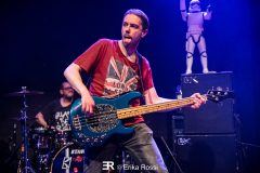 Smashing Train - Le Grillen