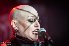 Stahlsarg - Forest Fest 2019