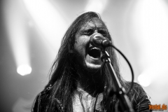 Striker - Le Grillen